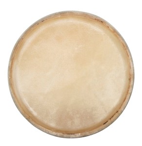CLUB SALSA F847253 Conga Head 12,5"