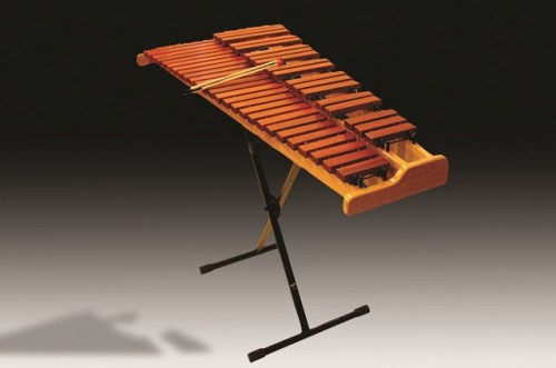 1425382861_KSYLOFON TINO maly rozmiar.jpg