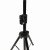 tat4.jpg