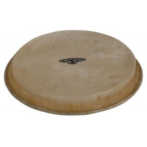 LP CP221B Bongo Head 7 1/4"