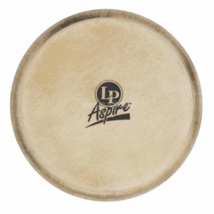 LP LPA663A Bongo Head Aspire 6 3/4"