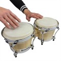 bongo .jpg