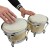bongo .jpg