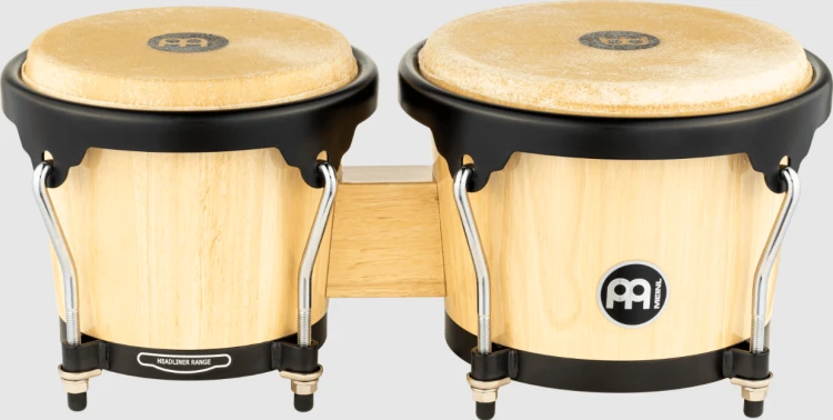 bongo 1.png