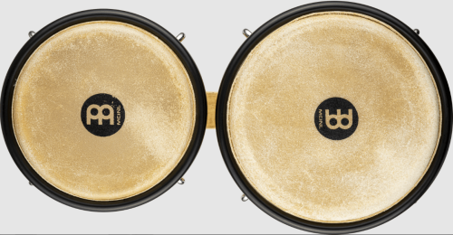 bongo 2.png