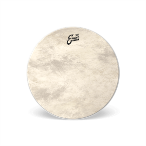 EVANS Calftone Bass 22"