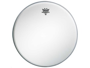 REMO Pre-International Ambassador Coated 10"
