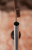 ee.PNG