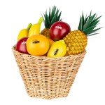 NINO SET536 Fruit Shaker Assortment