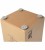 CP80 Rudiments Nature Large Cajon 2.jpg