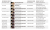 Pearl Reference Shell Construction Table.PNG