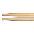 SB608 1 (1).jpg