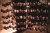 SPCH 11_11zon.webp