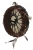 826182 gewa shamanic 1 4_11zon.webp