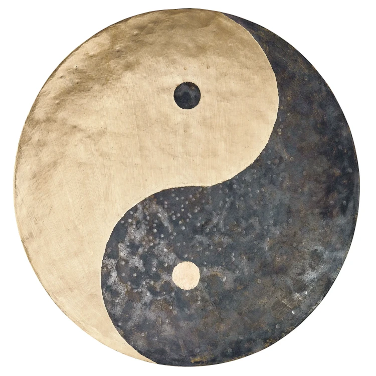 MEINL-Sonic-Energy-Wind-Gong-Yin-Yang-18-45-cm-inkl-Schlaegel-und-Huelle-WGYY18_f0134e6_11zon.webp
