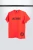 TT11LG-L_11zon.webp