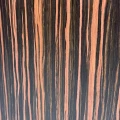 CA-4PB11.webp