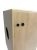CT-4PA-P (8).webp