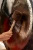 MGM-S-C (2).webp