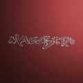 AHEAD Signature Steven Maestro Robinson Drumsticks