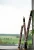 RS1S 7_11zon.webp