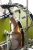 little_roomer_shell_set_5_pcs_olive_green