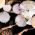 meinl-cymbals-sound-design-drum-honey