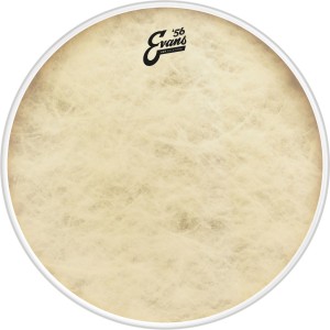 EVANS EQ4 Calftone Bass 22"