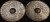 dh_h_14_back.jpg