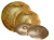 c8de410fc9d7be866d2b4d0b060118de.jpg