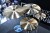 AMEDIA Vigor Rock Set 14", 16", 20" + Free 8"